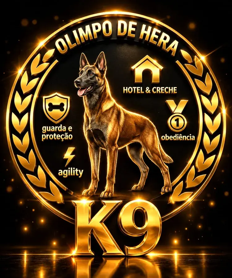 Emblema dourado Olimpo de Hera K9, com cão e símbolos de adestramento